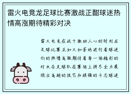 雷火电竞龙足球比赛激战正酣球迷热情高涨期待精彩对决