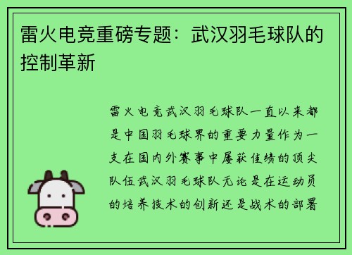 雷火电竞重磅专题：武汉羽毛球队的控制革新